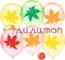 Облако из воздушных шаров "Осенние листья" - фото 10411
