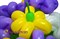 Цветы из шаров "Сиреневая сказка" - фото 4188