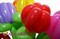 Цветы из шаров "Эль-Торо" - фото 4192